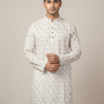 Gentle Look Formal Panjabi