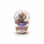 Igloo Single Sundae