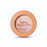Terracotta Wet And Dry Powder
